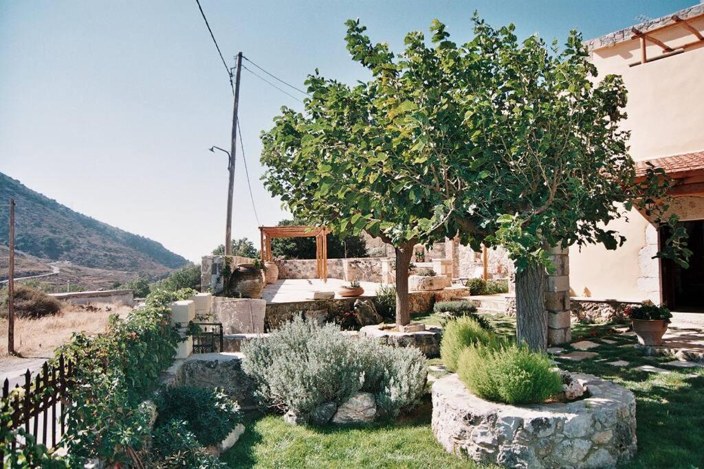 Traditional Villa With Pool In Sfakia Imbros Luaran gambar